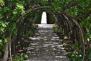 carrick hill 2014 (106)